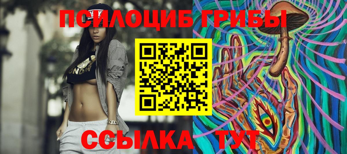 Псилоцибиновые грибы Cubensis Котлас